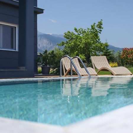 Zeusplace Pool Villa Olympus Riviera Литохоро Экстерьер фото